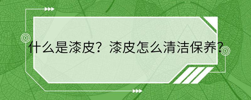 什么是漆皮？漆皮怎么清洁保养？