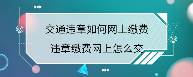 交通违章如何网上缴费 违章缴费网上怎么交