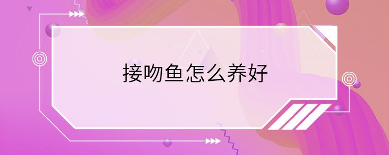 接吻鱼怎么养好