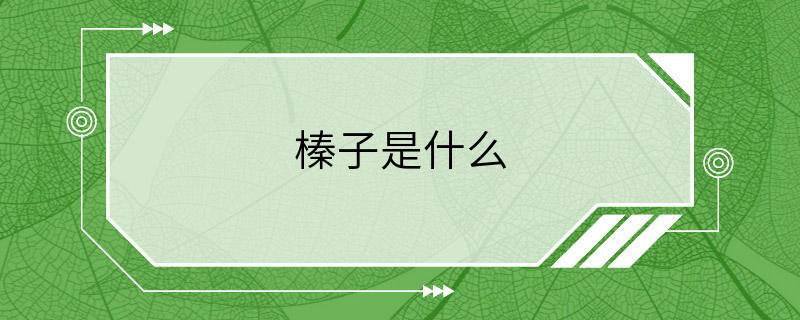 榛子是什么