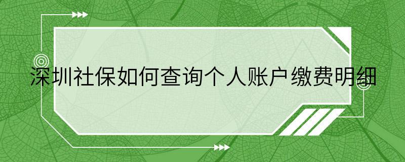 深圳社保如何查询个人账户缴费明细