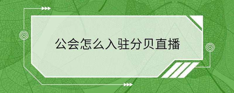 公会怎么入驻分贝直播