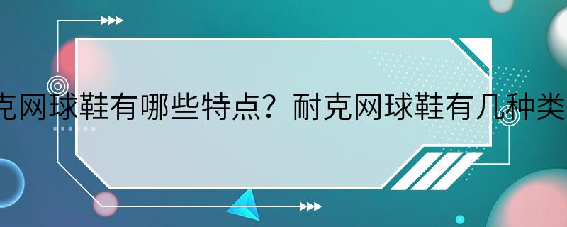 耐克网球鞋有哪些特点？耐克网球鞋有几种类型？