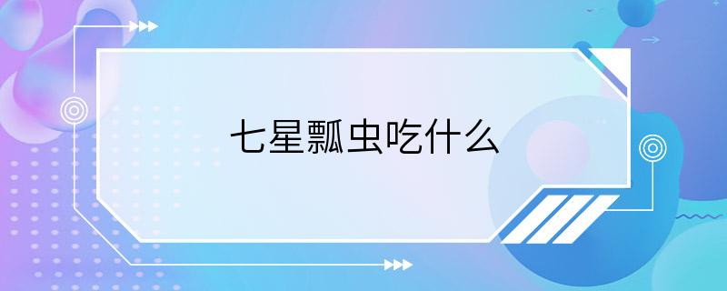 七星瓢虫吃什么