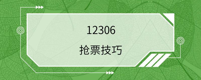 12306 抢票技巧