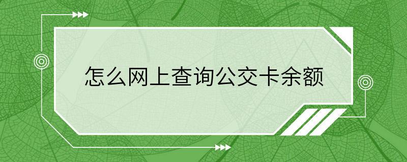 怎么网上查询公交卡余额