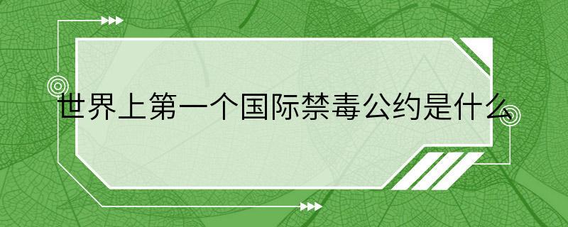 世界上第一个国际禁毒公约是什么