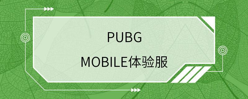 https://www.huguan123.com/game/466937.html