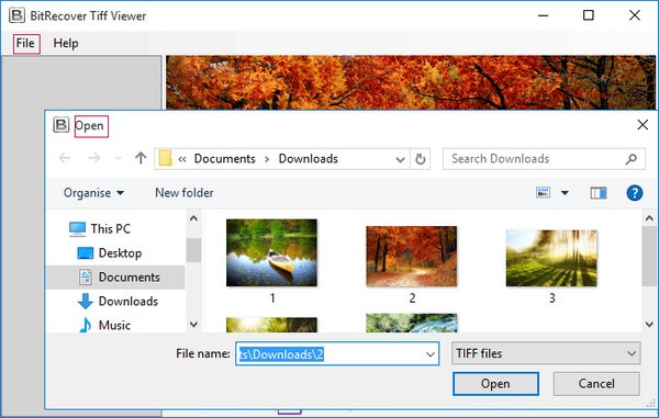 BitRecover Tiff Viewer(TIFF文件查看器)