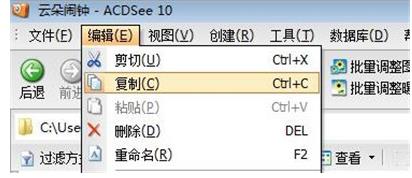 acdsee如何使用复制粘贴(2)