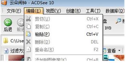 acdsee如何使用复制粘贴(3)