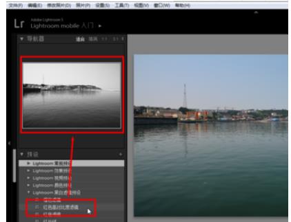 lightroom预设怎么使用(2)