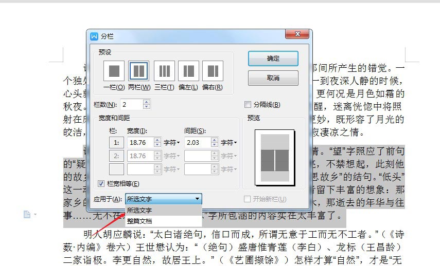 wps2019分栏怎么设置(4)