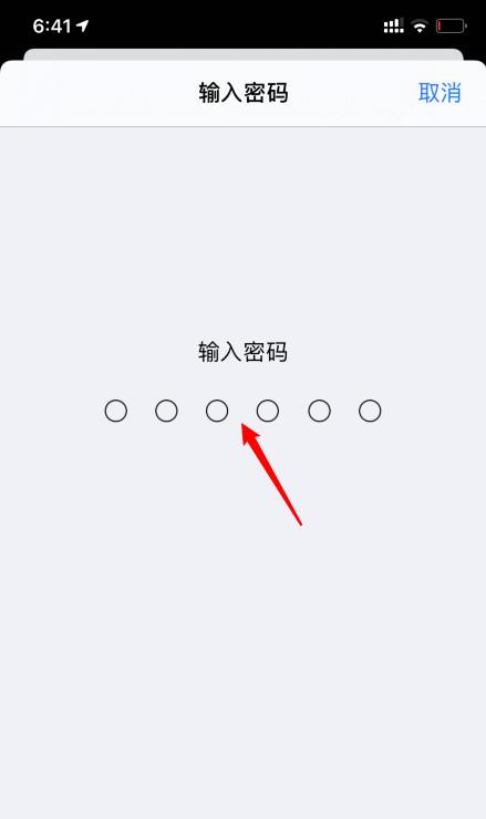 苹果在哪更新ios14(5)