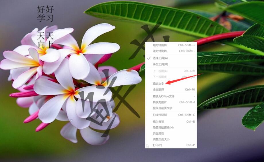 pdf怎么编辑打字(1)