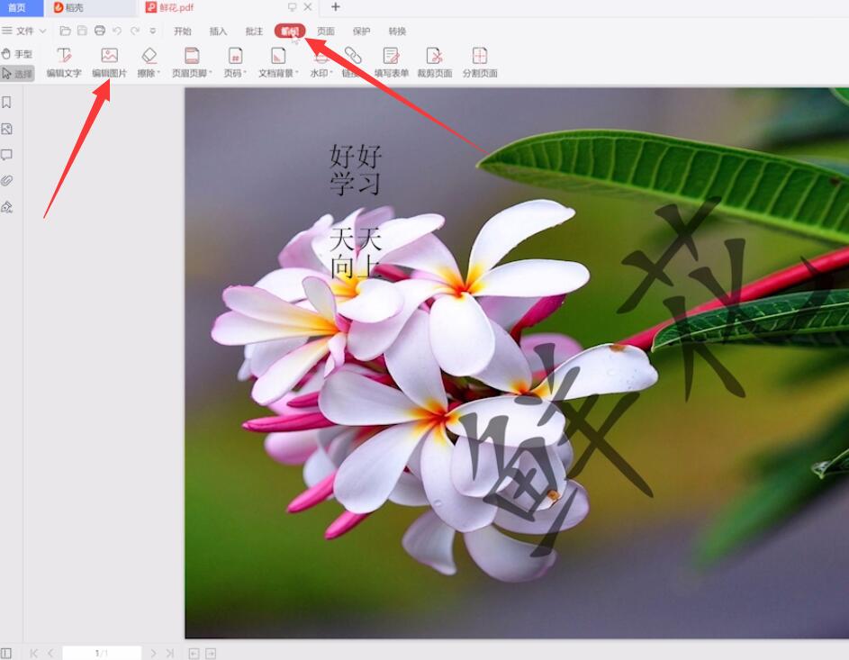 pdf怎么进行图片编辑(1)