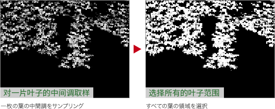 PS如何绿叶变红叶(8)