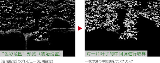 PS如何绿叶变红叶(5)