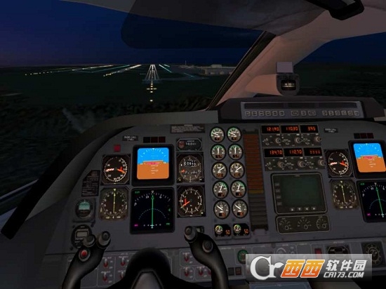 专业模拟飞行X-Plane 10 Flight Simulator