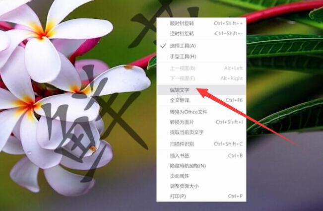 pdf格式的文件怎么编辑文字(1)