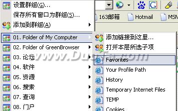 GreenBrowser(绿色浏览器)使用技巧