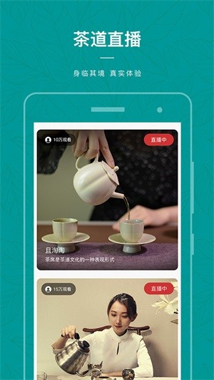 茶物几何