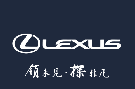 Lexus Accessory 