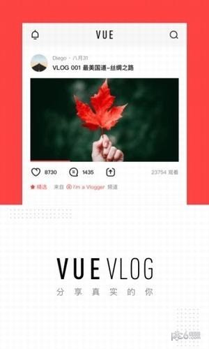 vue vlog