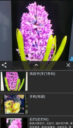 拍照识花如何操作  拍照识花操作介绍