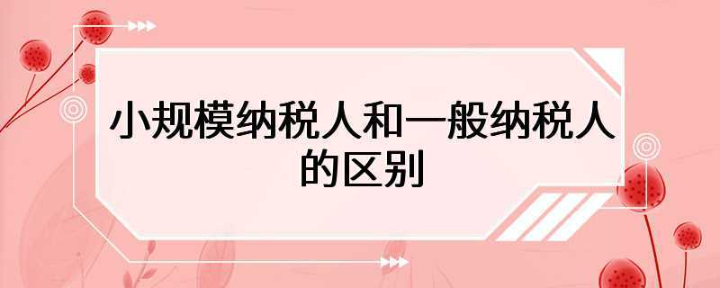 小规模纳税人和一般纳税人的区别