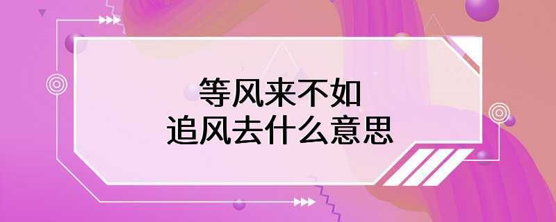 等风来不如追风去什么意思