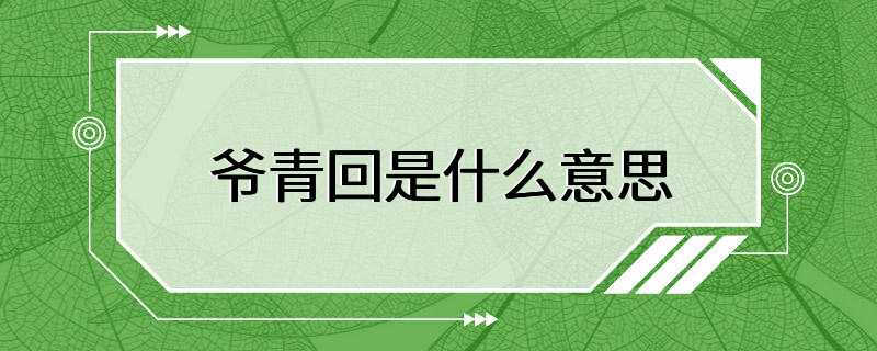 爷青回是什么意思