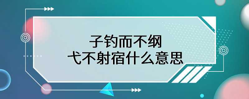 子钓而不纲弋不射宿什么意思