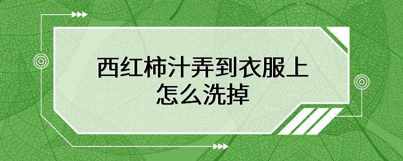 西红柿汁弄到衣服上怎么洗掉