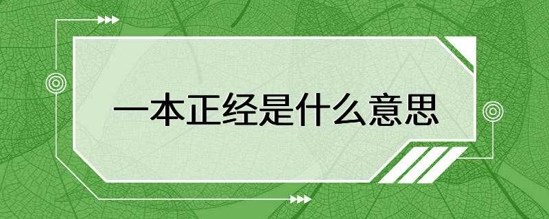 一本正经是什么意思