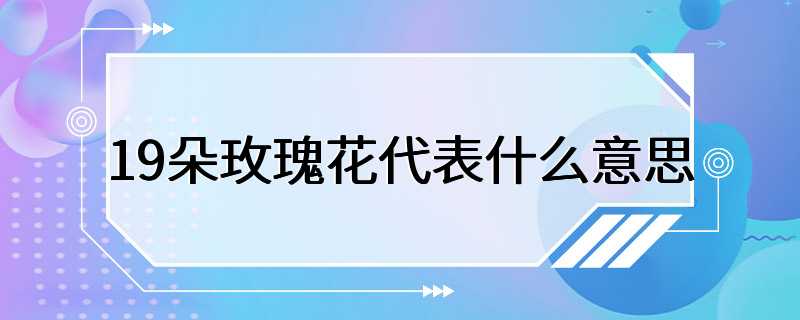 19朵玫瑰花代表什么意思