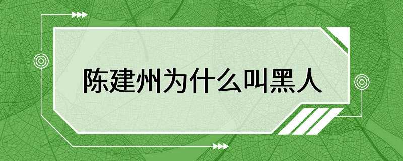 陈建州为什么叫黑人