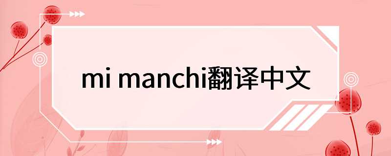 mi manchi翻译中文