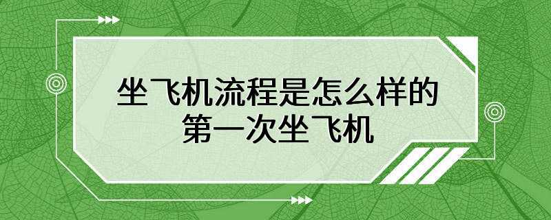 坐飞机流程是怎么样的 第一次坐飞机