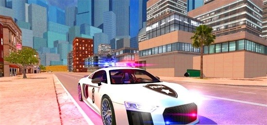 R8警官模拟器