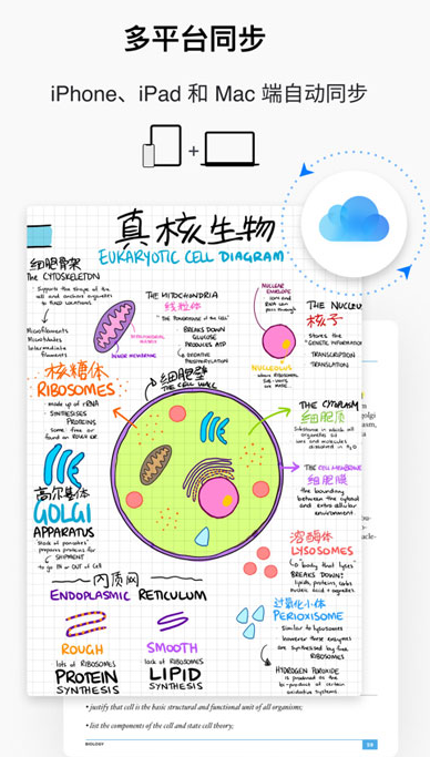 GoodNotes怎么买便宜？GoodNotes50元是永久的吗?