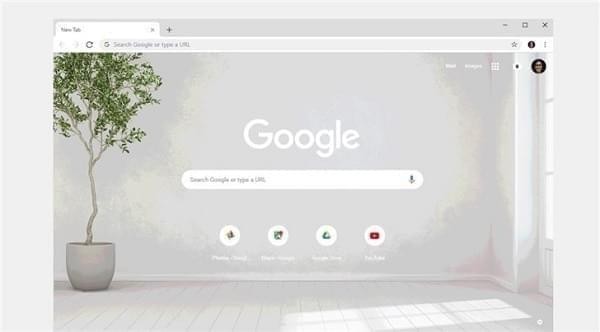 谷歌浏览器(Google Chrome)