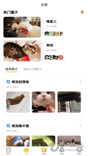 友猫