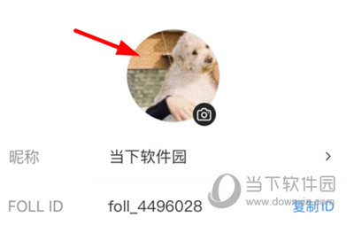 FOLL(图片社交软件)