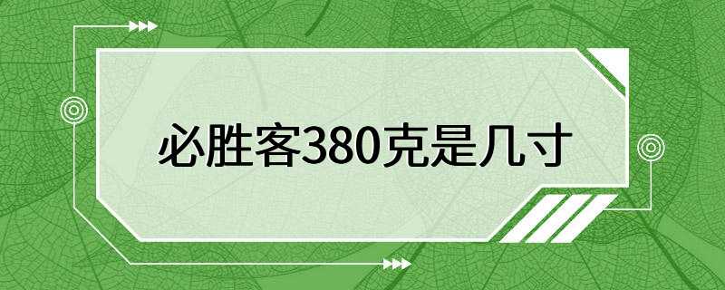 必胜客380克是几寸