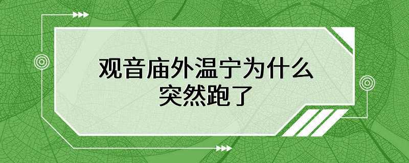 观音庙外温宁为什么突然跑了