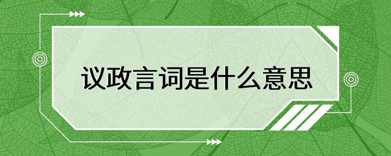 议政言词是什么意思