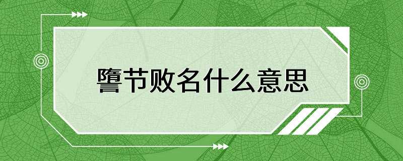 䜐节败名什么意思