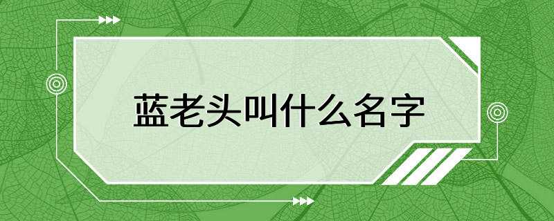 蓝老头叫什么名字