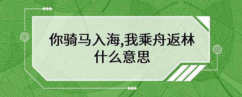 你骑马入海,我乘舟返林什么意思